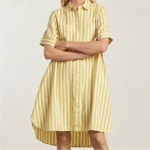 Everlane Yellow Striped High Low Dress